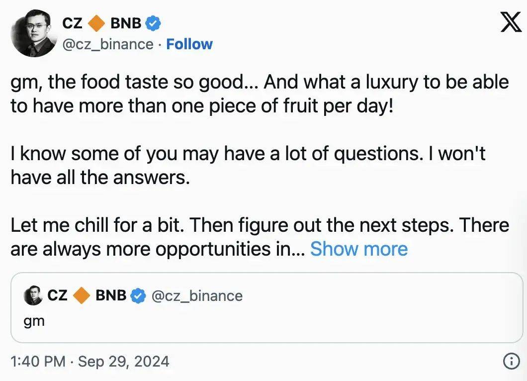 币安创始人赵长鹏出狱后首次公开表态 未来<strong></p>
<p>api币安</strong>他这么打算