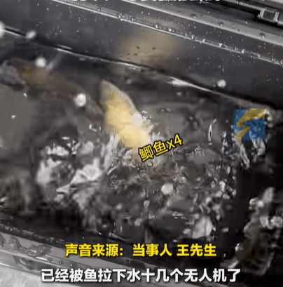 男子在家操控无人机钓鱼<strong></p>
<p>币安ico</strong>,当天就钓上十几条,当事人:不要轻易尝试,已被鱼拉下水十几个无人机