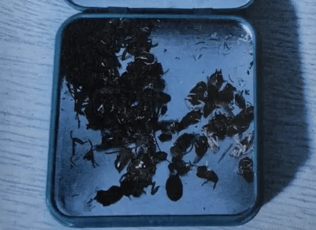 打两碗蘸料<strong></p>
<p>币安ico</strong>,吃一碗毁一碗!女子投虫敲诈火锅店更多细节曝光