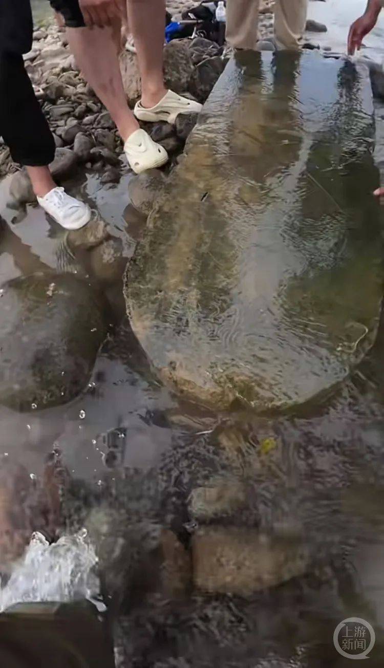 “当时就无心钓鱼了<strong></p>
<p>币安网交易所</strong>！”河南钓友在洛阳附近“钓”到古碑？文保部门回应