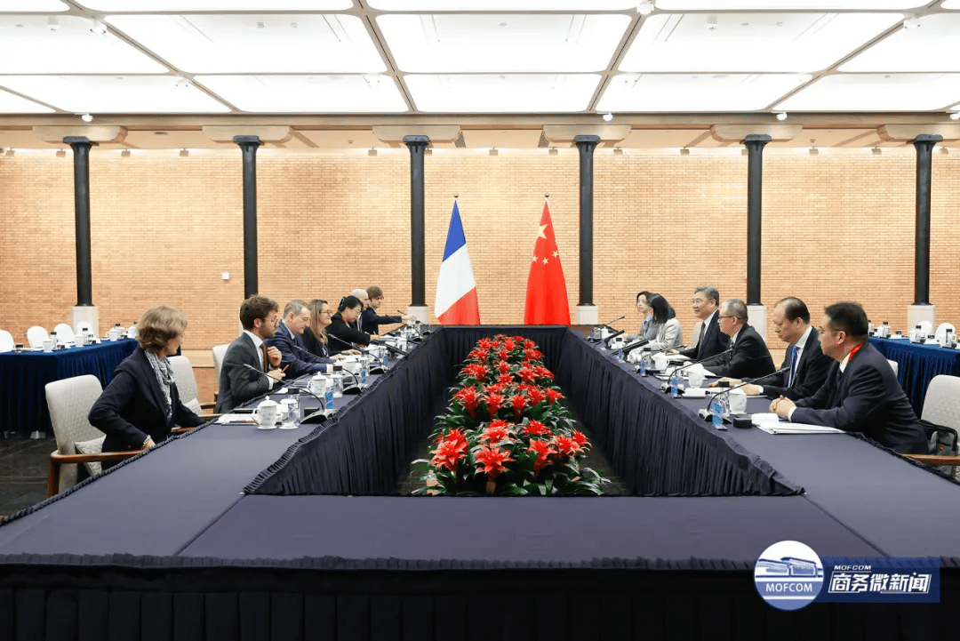 法国外交部外贸部长级代表:不希望欧中当前贸易紧张关系继续升级