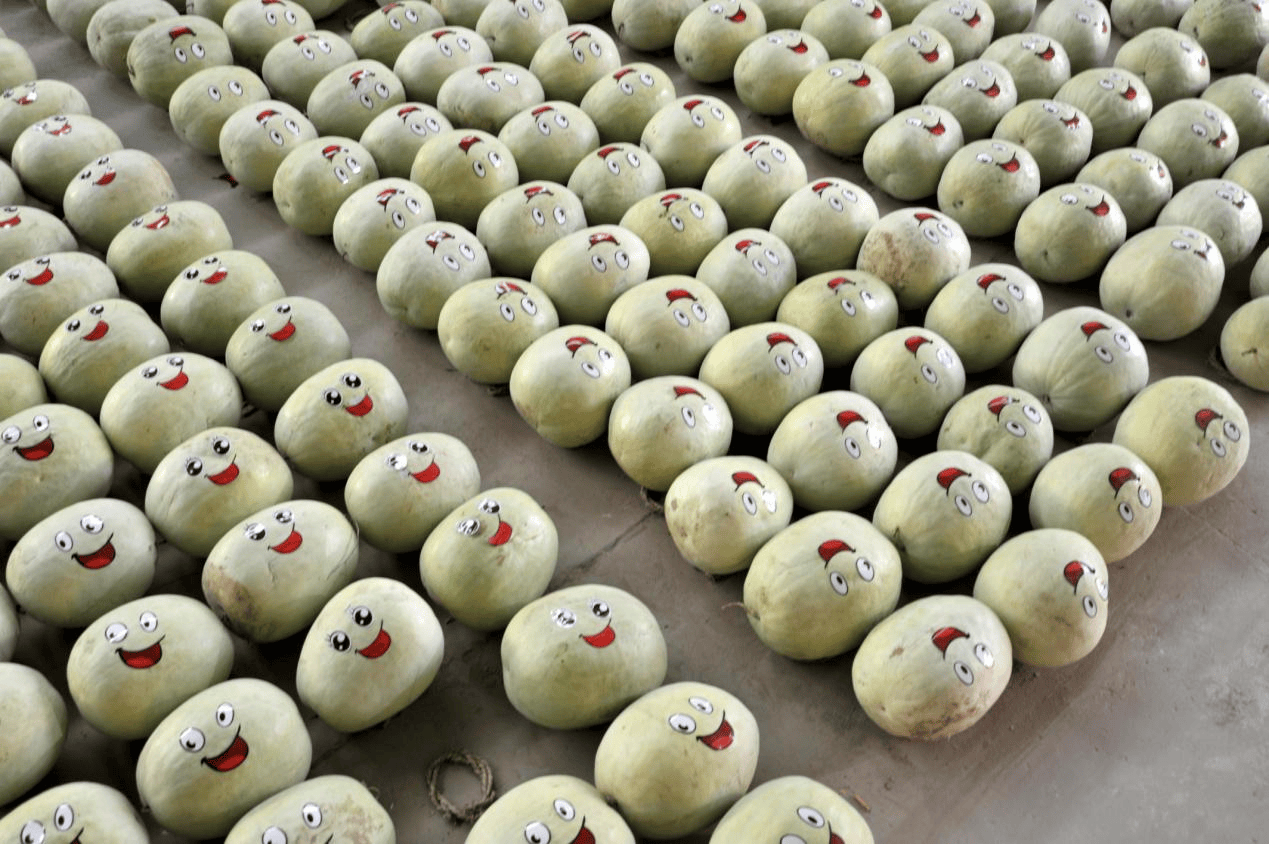 “含糖量”极高<strong></p>
<p>安币数字货币</strong>!解锁“北方水果公园”山西万荣的甜蜜