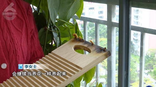 “可以蒸蛋”!昆明一女子家中搓衣板上长菌<strong></p>
<p>币安老板</strong>,品种竟是……