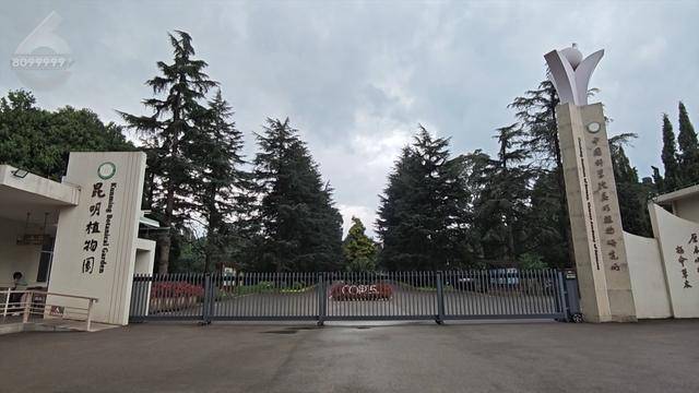 “可以蒸蛋”!昆明一女子家中搓衣板上长菌<strong></p>
<p>币安老板</strong>,品种竟是……