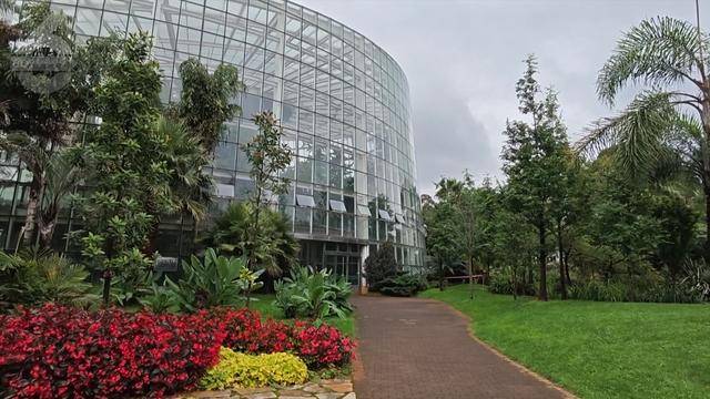 “可以蒸蛋”!昆明一女子家中搓衣板上长菌<strong></p>
<p>币安老板</strong>,品种竟是……