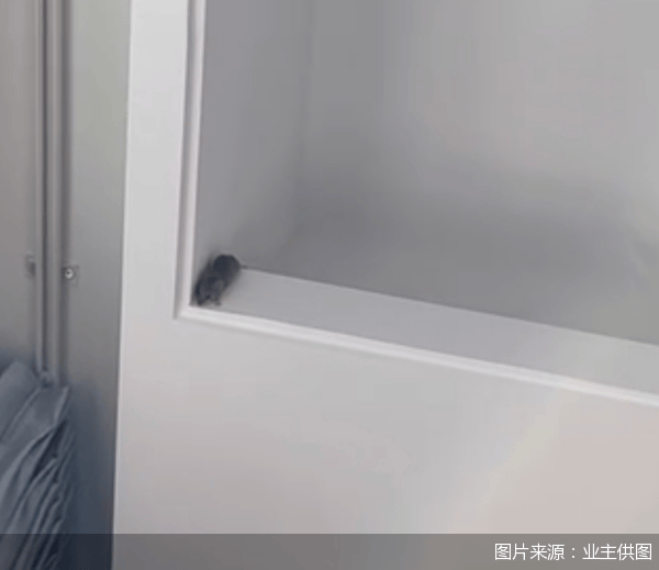 老鼠乱窜、直饮水发黄<strong></p>
<p>ieo币安</strong>,北京业主千万元买的和锦诚园居然是这样