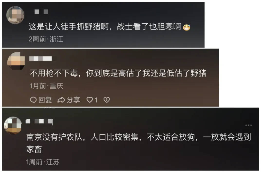 91.5万元打300头野猪<strong></p>
<p>Binance官网</strong>,南京一企业中标后弃标,知情人:人手不够