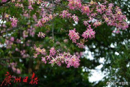 冷空气明天凌晨到达广州市区<strong></p>
<p>币安结算</strong>，后天起转为晴冷