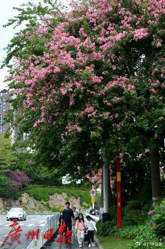 冷空气明天凌晨到达广州市区<strong></p>
<p>币安结算</strong>，后天起转为晴冷