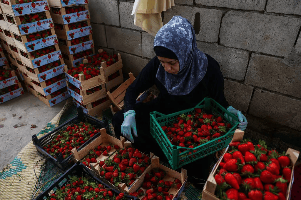 叙利亚战火持续<strong></p>
<p>币安法币交易</strong>,攻下阿勒颇的反对派武装到底什么来头?在下一盘什么棋?