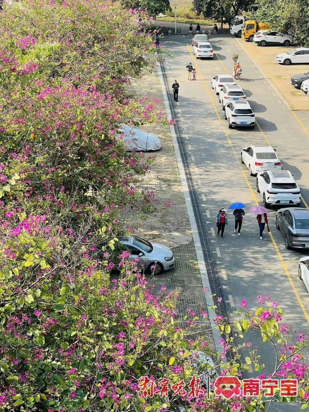 广西将开启“冻人”模式<strong></p>
<p>币安最新消息</strong>！最冷出现在这一天→