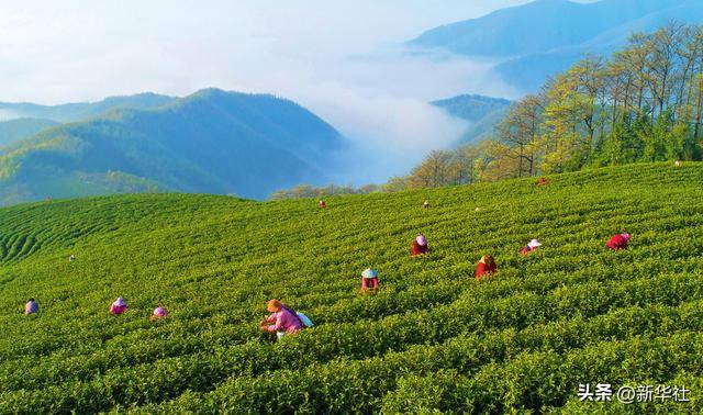 瞭望·治国理政纪事|“<strong></p>
<p>币安币线图</strong>我也是个老基层”