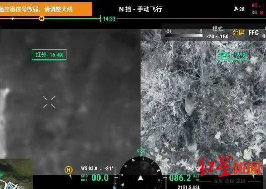 揭秘“野猪猎捕队”丨海拔3000米高山密林<strong></p>
<p>币安合约</strong>,记者跟队直击猎捕野猪全过程