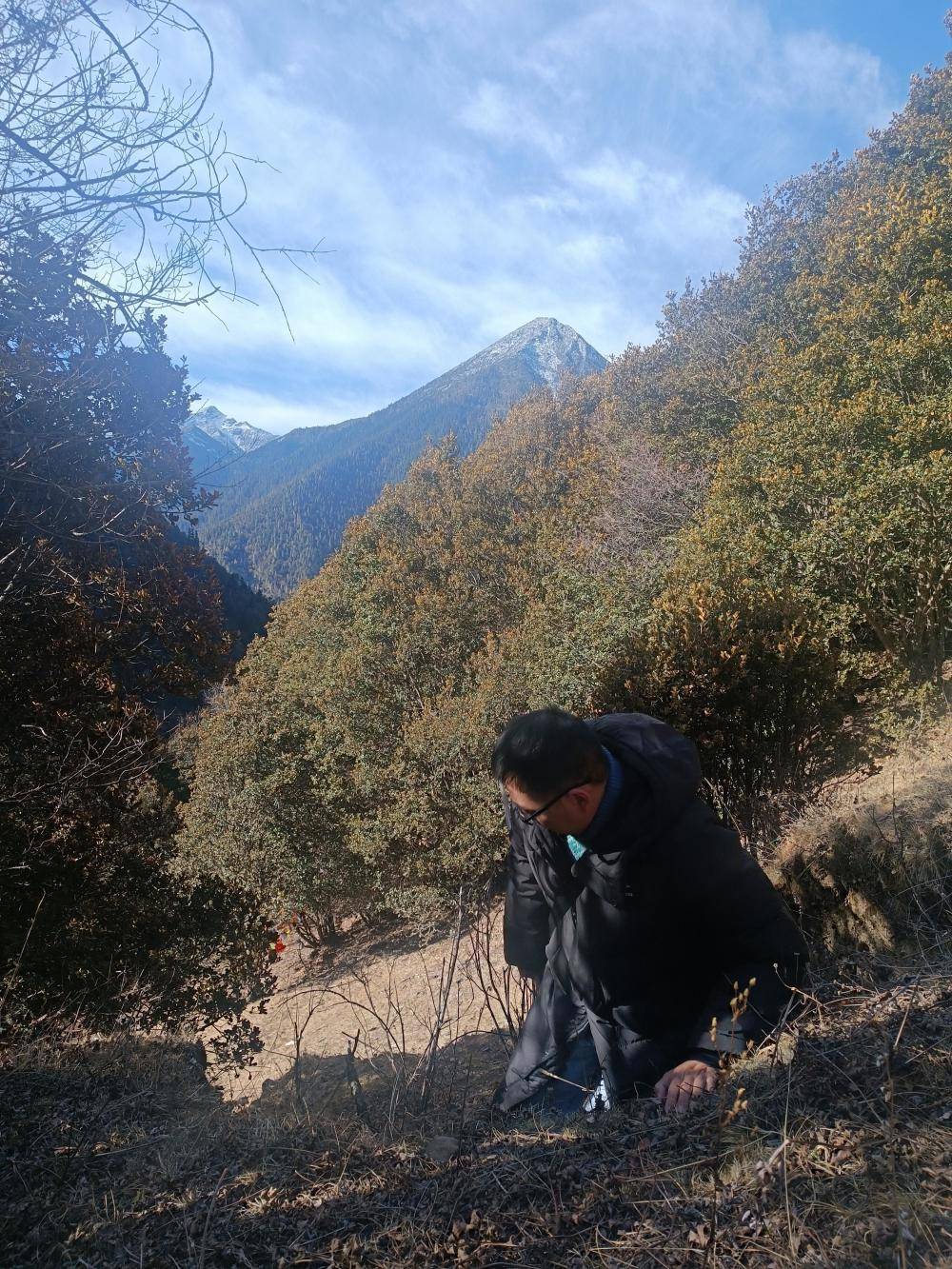 揭秘“野猪猎捕队”丨海拔3000米高山密林<strong></p>
<p>币安合约</strong>,记者跟队直击猎捕野猪全过程