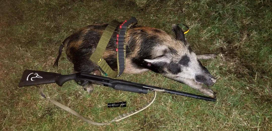 军迷看了血压飙升<strong></p>
<p>币安注册教程</strong>!子弹连弹壳一起打出去?丨轻武专栏