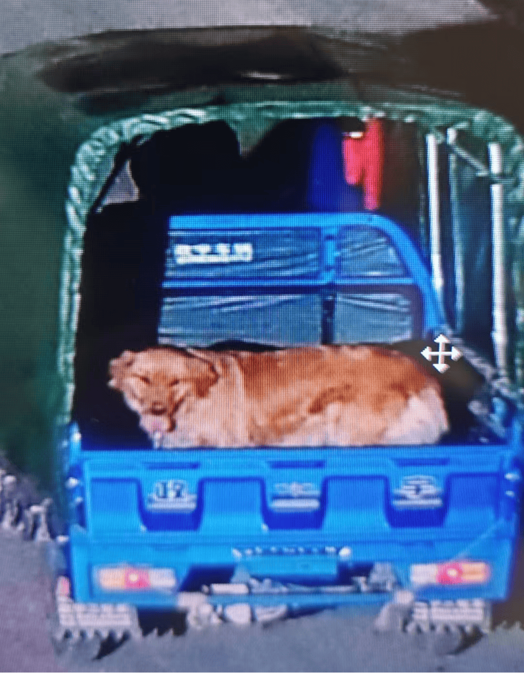 离谱！昆明一男子偷狗<strong></p>
<p>币安注册教程</strong>，竟是为了……