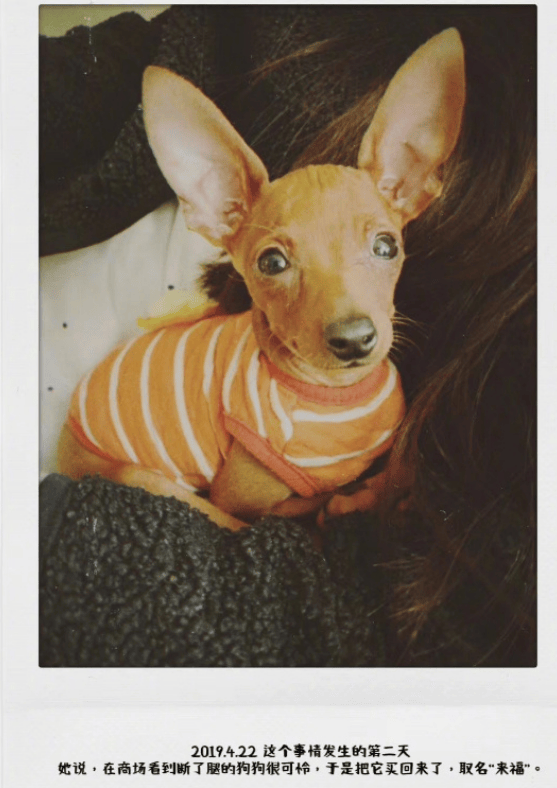 好友爆料赵露思曾被公司老板辱骂殴打 对方以“喝多”为由道歉