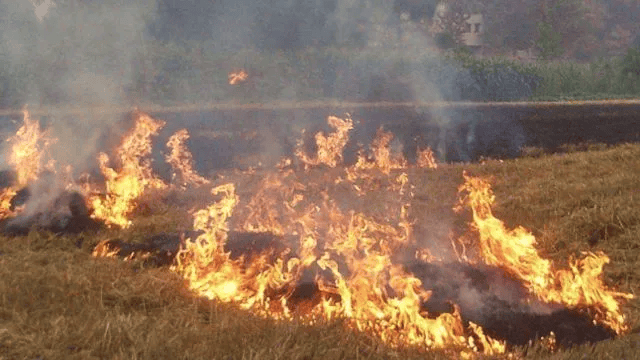 唐山各乡镇、村落一律禁止<strong></p>
<p>币安币机制</strong>!多名村民被罚