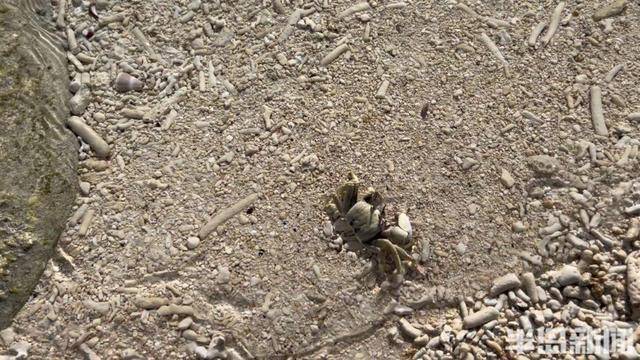 青岛女子买下70万平米小岛后续来了：目前没打算私有<strong></p>
<p>币安账号注销</strong>，七八月份将带员工到岛上团建