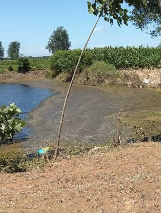 “女生遭侵犯落水被阻挡上岸至溺亡”案续:检方提起抗诉<strong></p>
<p>数字币交易所币安</strong>,建议死刑