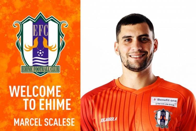 官方:前泰山外援马塞尔加盟J2球队爱媛FC<strong></p>
<p>币安法币账户</strong>,将身披3号球衣