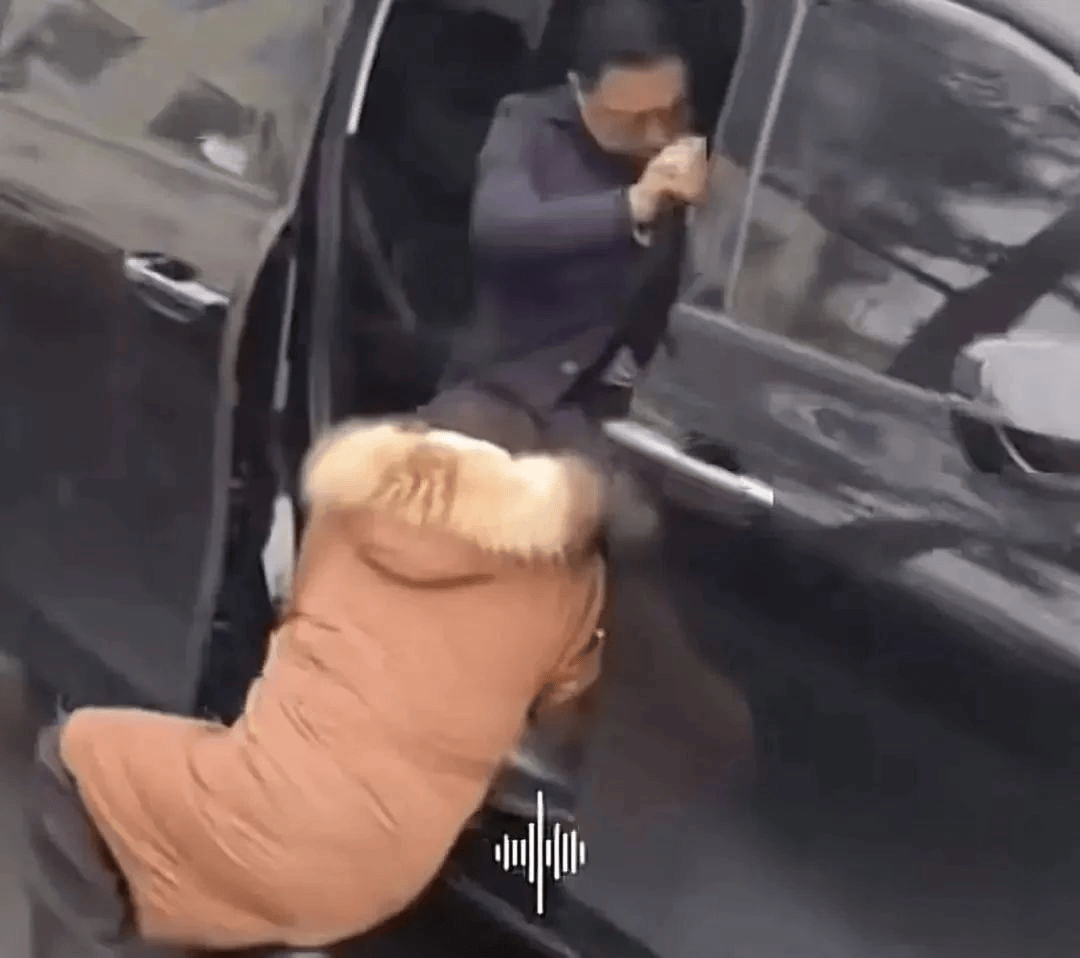 陕西一县委书记被拦车抱腿?官方披露:吕某某编造传播谣言<strong></p>
<p>中币和安币</strong>,已被追究法律责任