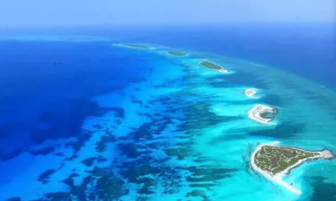 杜特尔特专机连夜起飞<strong></p>
<p>安卓比特币</strong>，一觉醒来，父女俩已现身香港，马科斯发觉晚了