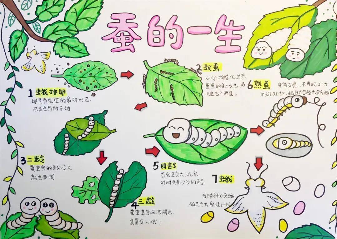 一年卖出1亿条虫!迷倒全国“10后”的小生意<strong></p>
<p>莱特币安卓挖矿</strong>,有人年入千万