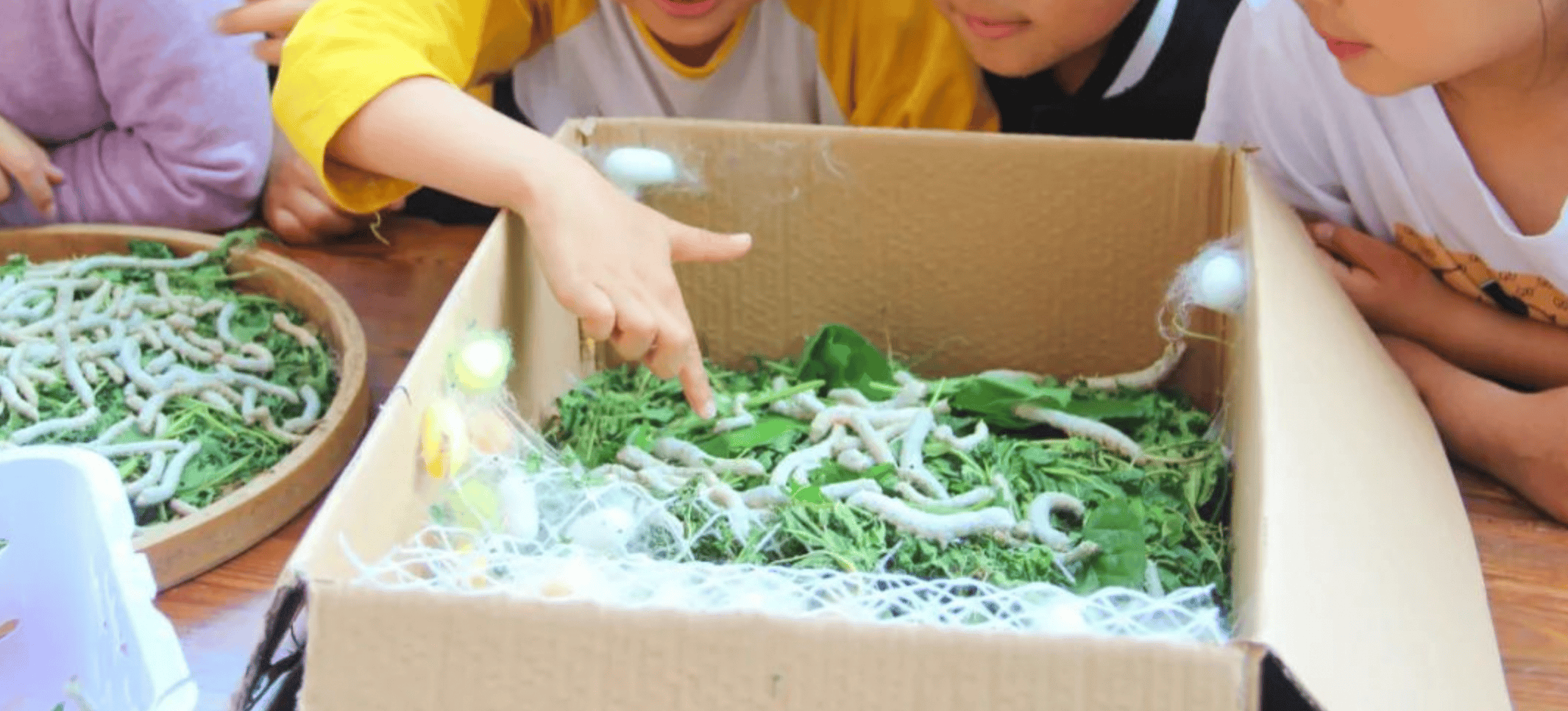 一年卖出1亿条虫!迷倒全国“10后”的小生意<strong></p>
<p>莱特币安卓挖矿</strong>,有人年入千万