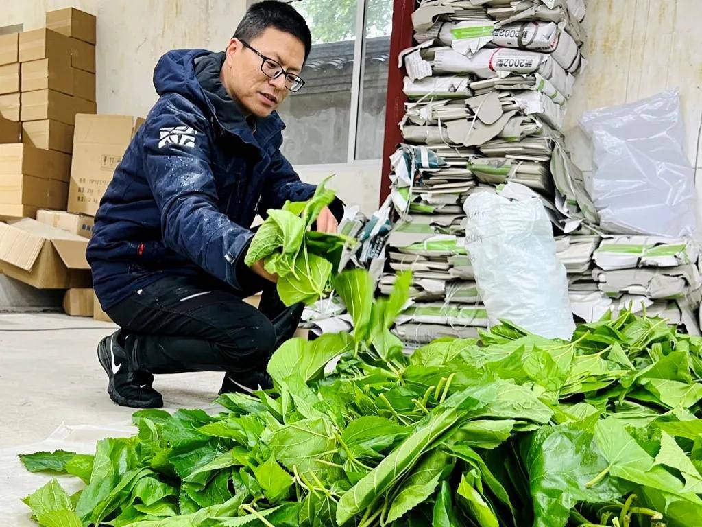 一年卖出1亿条虫!迷倒全国“10后”的小生意<strong></p>
<p>莱特币安卓挖矿</strong>,有人年入千万