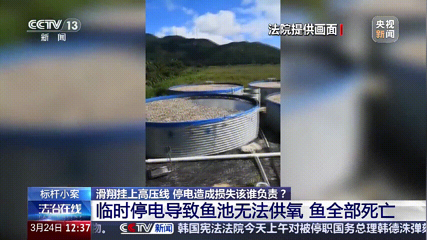 深圳女子被挂高压线!停电救援<strong></p>
<p>币安ftx</strong>,9池鱼死光!他怒上法庭……