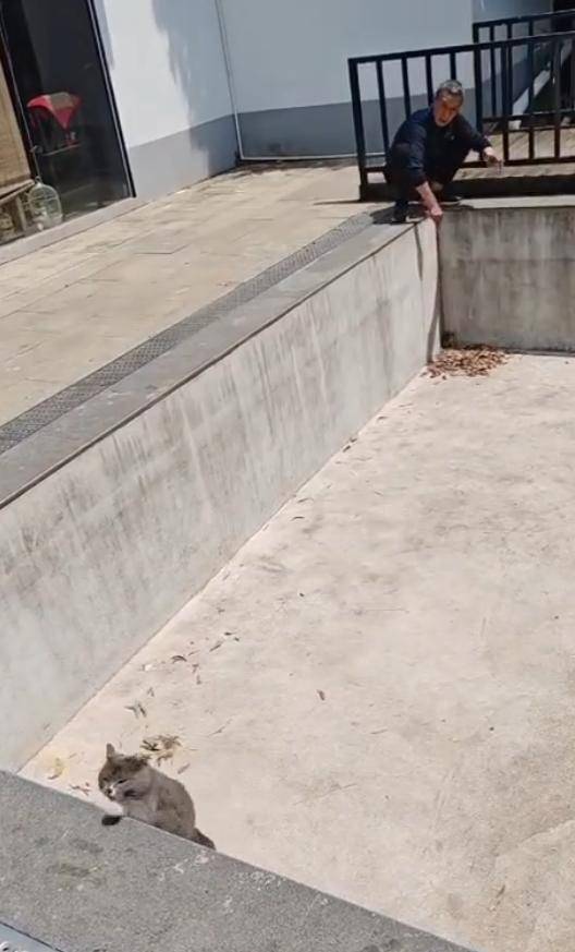 老鼠掉进泳池<strong></p>
<p>币安ftx</strong>，广东大叔出动鸡猫狗团队，结果全被老鼠吓跑！网友坐不住纷纷晒战绩