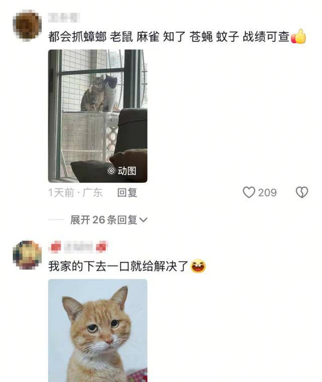 老鼠掉进泳池<strong></p>
<p>币安ftx</strong>，广东大叔出动鸡猫狗团队，结果全被老鼠吓跑！网友坐不住纷纷晒战绩