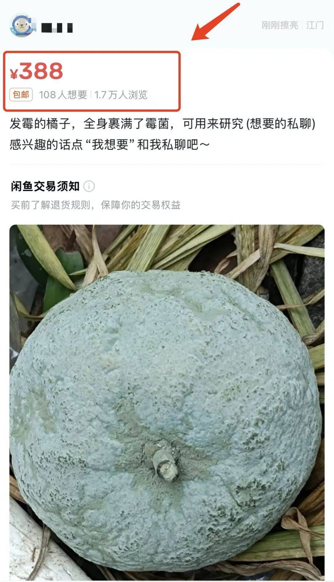 突然火了<strong></p>
<p>币安币玩家</strong>！有人卖500元一个！网友：后悔扔了……