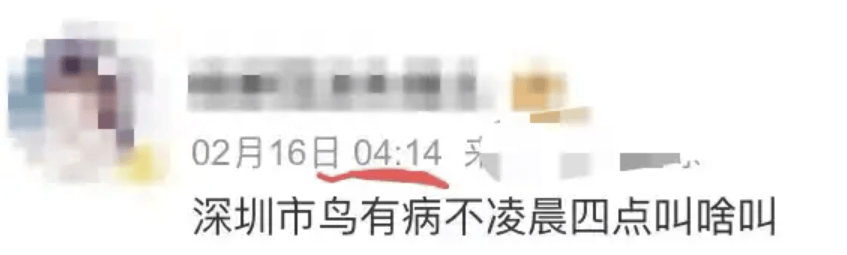 “周末想睡个懒觉都不行”<strong></p>
<p>币安火币中币</strong>,有多少深圳人被这种鸟吵到神经衰弱