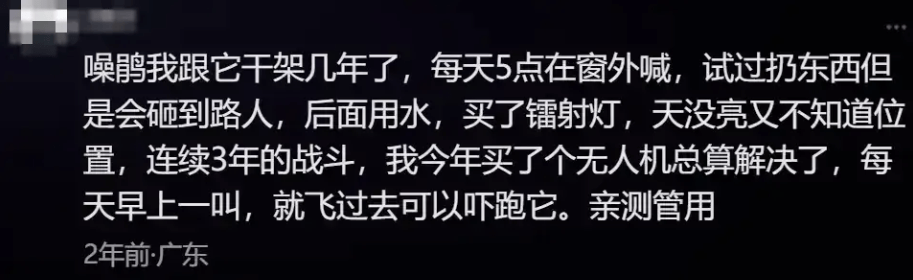 “周末想睡个懒觉都不行”<strong></p>
<p>币安火币中币</strong>,有多少深圳人被这种鸟吵到神经衰弱