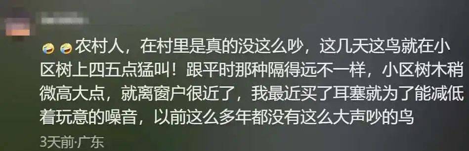 “周末想睡个懒觉都不行”<strong></p>
<p>币安火币中币</strong>,有多少深圳人被这种鸟吵到神经衰弱