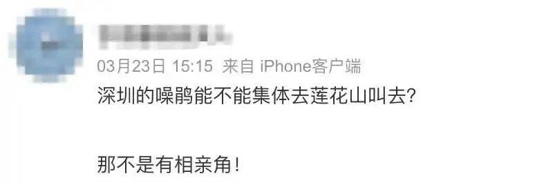 “周末想睡个懒觉都不行”<strong></p>
<p>币安火币中币</strong>,有多少深圳人被这种鸟吵到神经衰弱