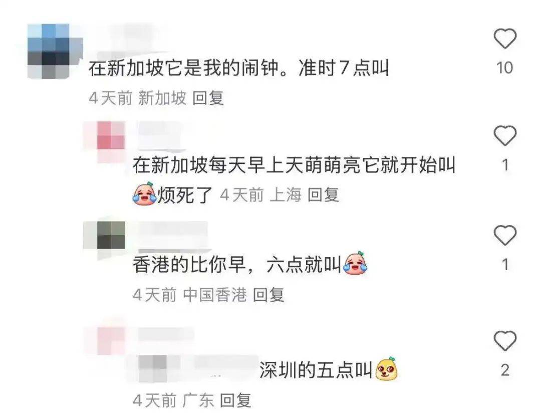 “周末想睡个懒觉都不行”<strong></p>
<p>币安火币中币</strong>,有多少深圳人被这种鸟吵到神经衰弱