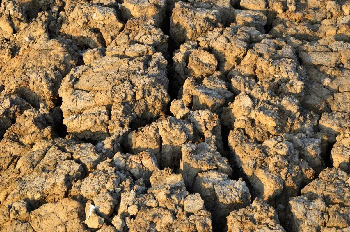 中美关系大变?中方断供后<strong></p>
<p>nano币安</strong>,美军全军种遭重创,释放信号强烈