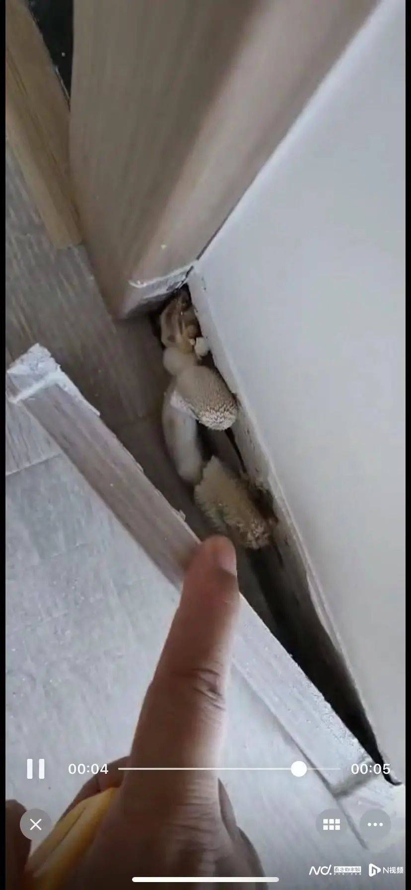 “深更半夜<strong></p>
<p>nano币安</strong>,又掉一大块下来”!广东一小区业主怒了