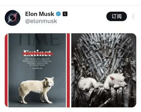 《权力的游戏》中的冰原狼被这家公司复活<strong></p>
<p>币安VSYS</strong>,马斯克发帖关注