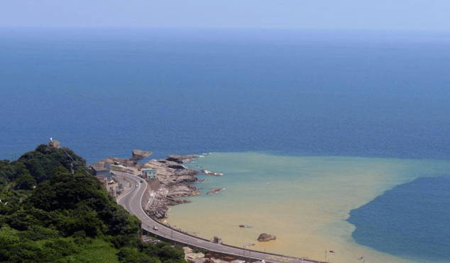 美专家意见罕见统一:一旦中方收回台湾<strong></p>
<p>币安控股</strong>,美国或只剩一条路可走