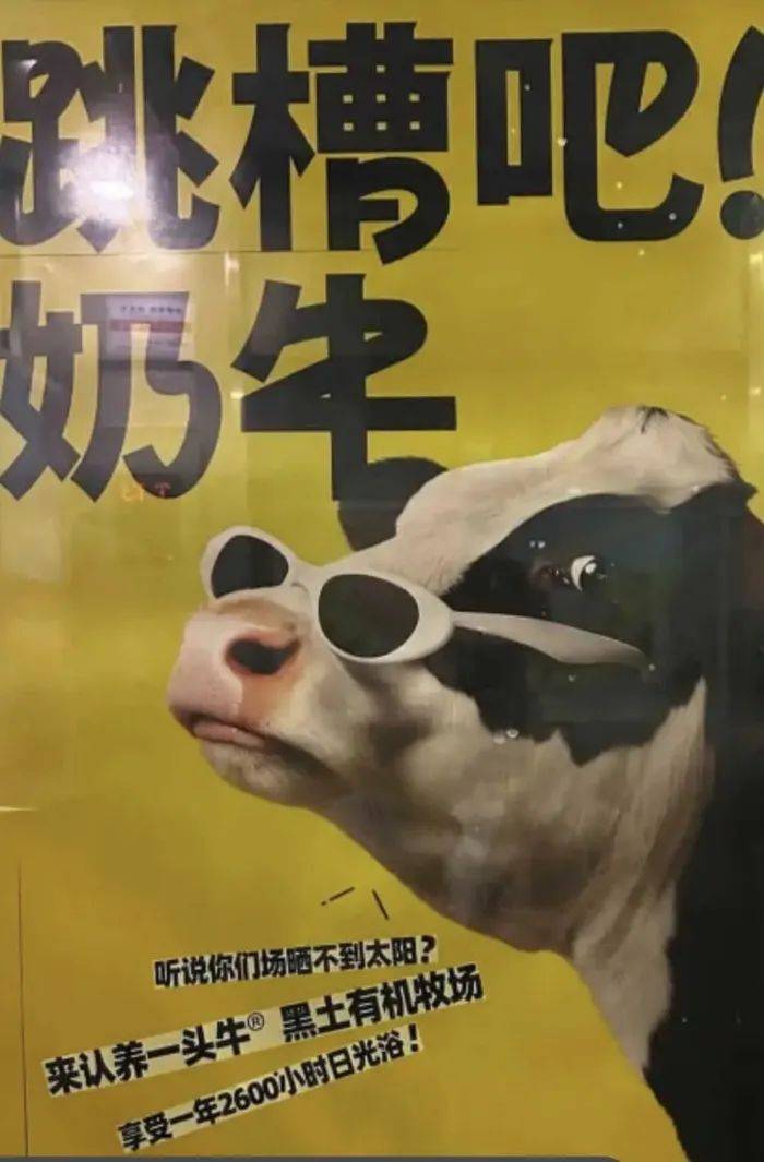 认养一头牛广告被质疑讽刺打工人<strong></p>
<p>币安控股</strong>,公司回应:致敬BOSS直聘