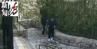 太猖狂!事发上海迪士尼<strong></p>
<p>币安官方网址</strong>,7人被刑拘