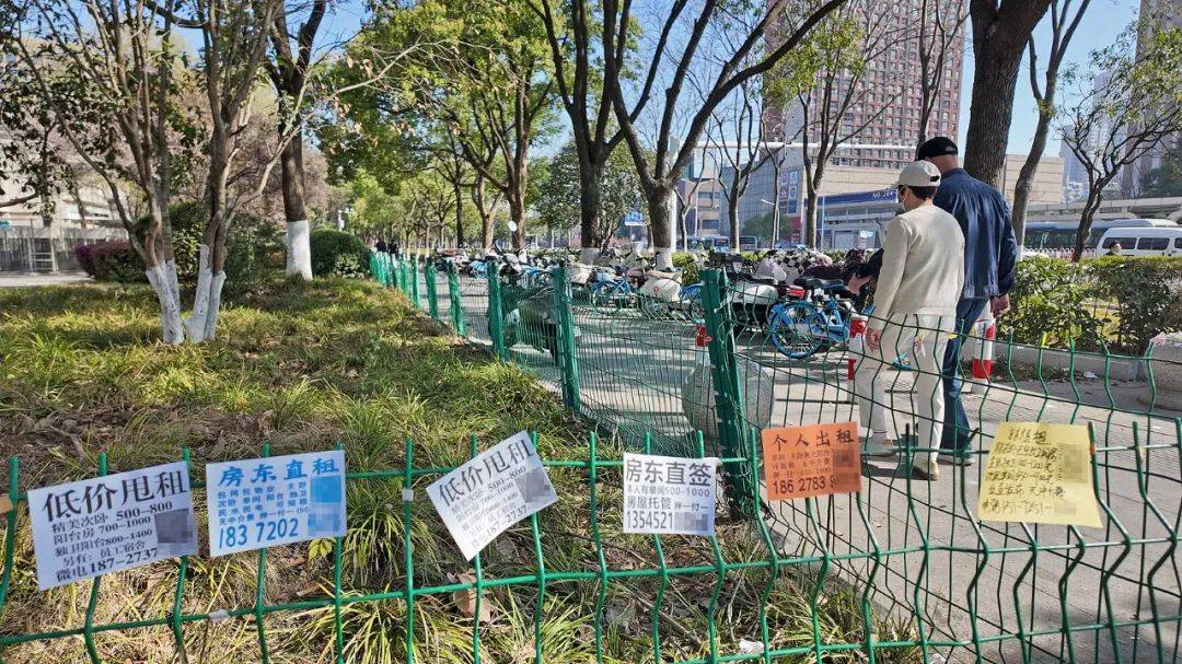 一二线城市房租普降<strong></p>
<p>币安官方网址</strong>，房东主动降200留我