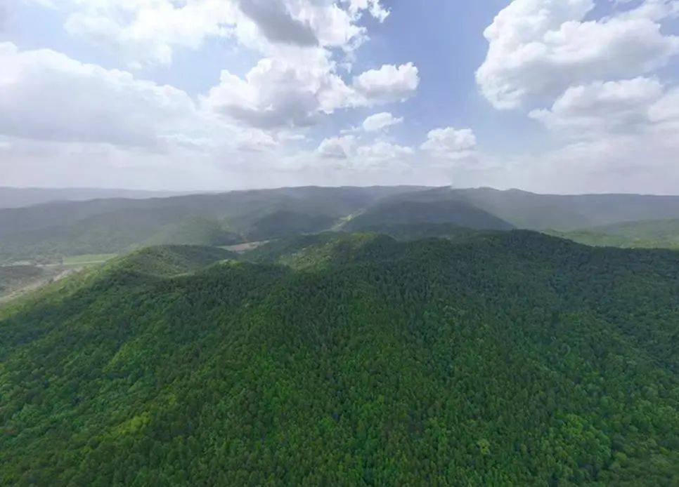 销声匿迹已有30年<strong></p>
<p>tct币安</strong>，华北豹正逐渐接近北京——