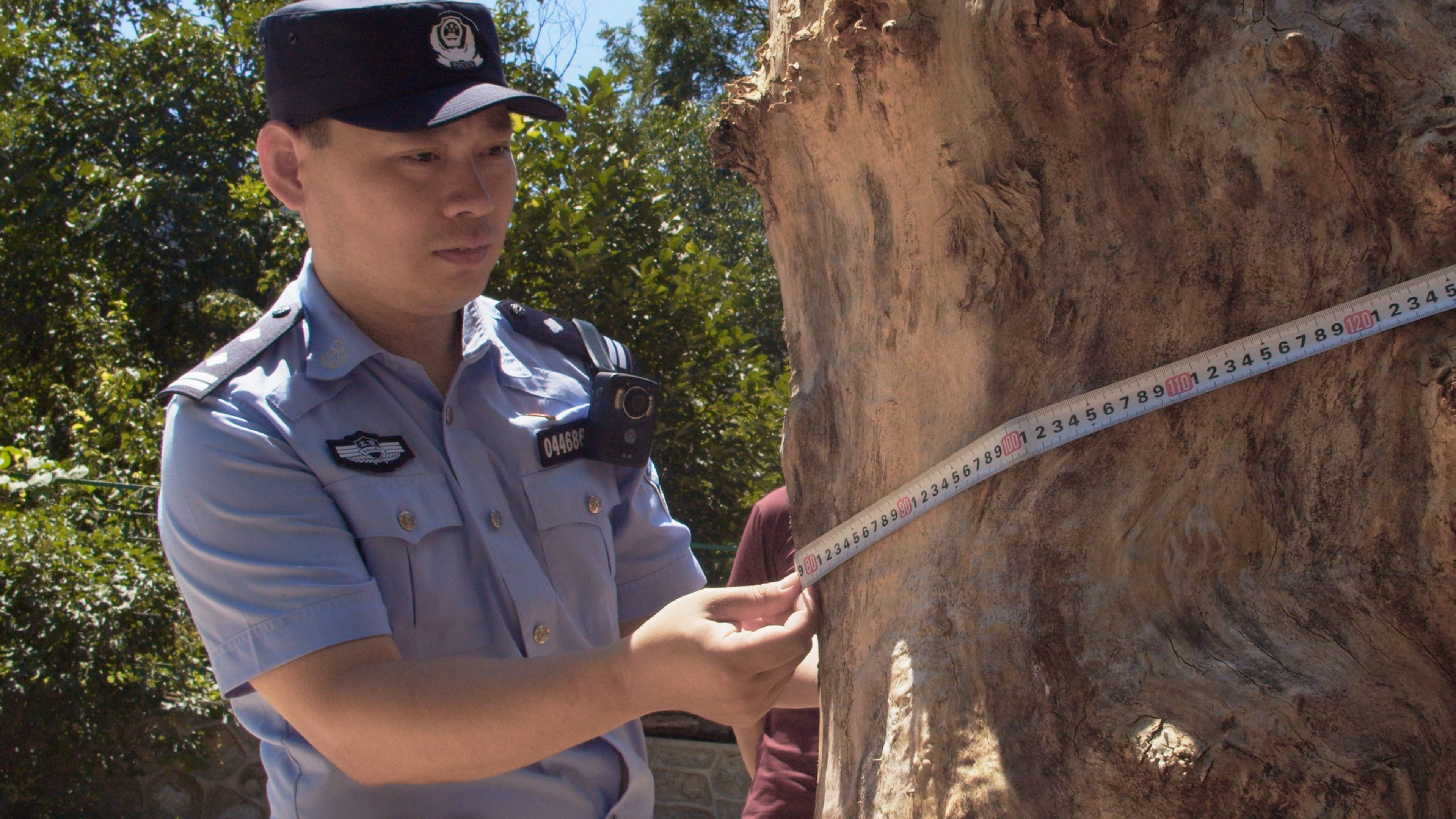 森林警察韩孟祺:乔装成驴友潜伏密林中<strong></p>
<p>币安宝钱包</strong>,抓获“粘鸟”嫌疑人
