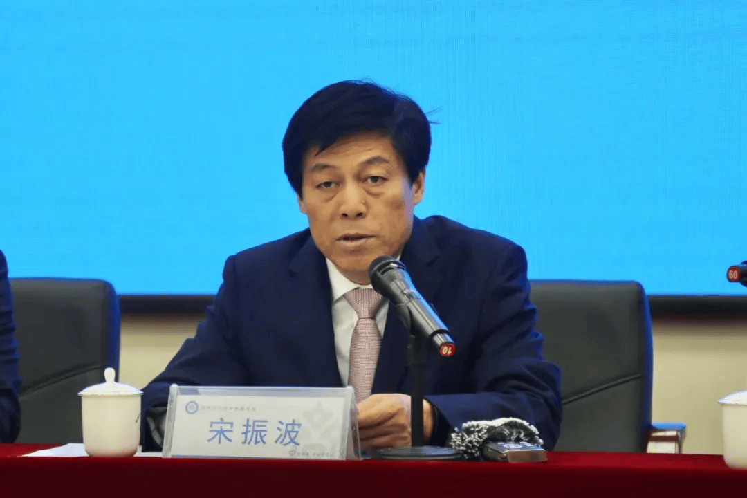 宋振波，严重违反党的政治纪律、组织纪律、廉洁纪律、工作纪律和生活纪律