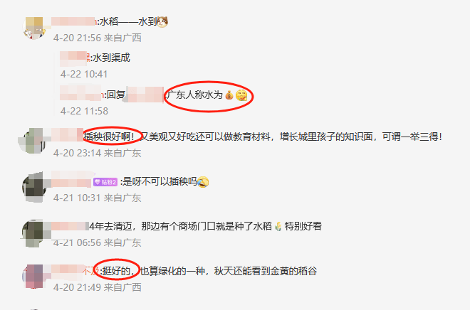 谁种的?东莞闹市区绿化带惊现水稻<strong></p>
<p>币安宝钱包</strong>,网友化身福尔摩斯来探案,家居广场:商户提的建议